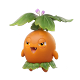 삑삑초