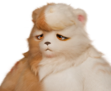 푹자곰
