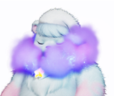푹자곰