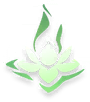 연꽃의 꿈